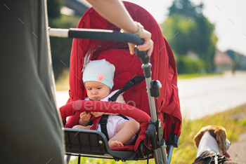 Baby girl sitting in stroller on a walk with mom and dog / Photodune, Misc