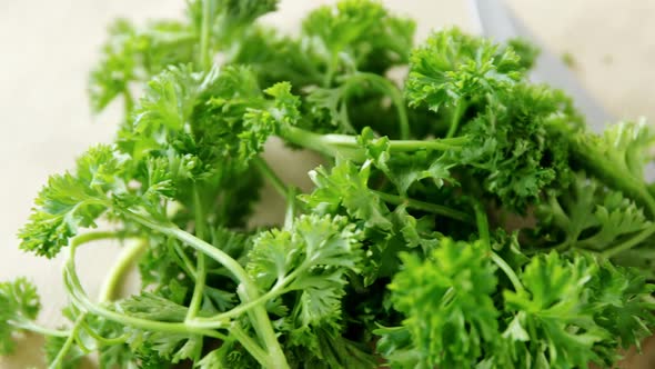 Fresh coriander leaves with knife 4k