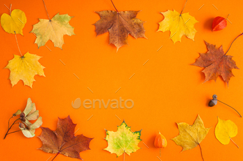 Dry autumn leaves as a frame template / Photodune, Misc