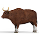 Bull With PBR Textures - 3DOcean Item for Sale