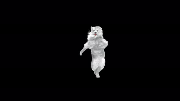 White Lion Dancing 4K