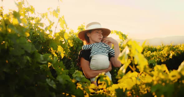 Young Beautiful Woman in Dress Having Good Time with Her Little Child in Summer Vineyard of Provence