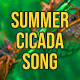 Summer Cicada Song - AudioJungle Item for Sale