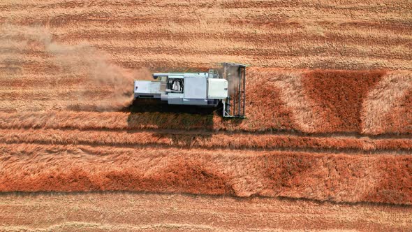 Aerial view of harvester working in field