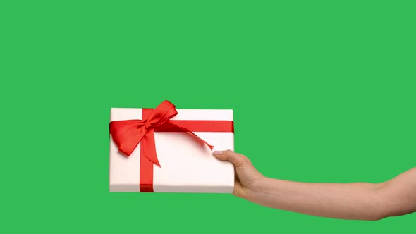 Female Hands Giving a Gift Box on the Background of a Green Screen Chroma Key