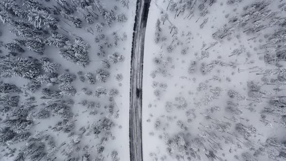 Aerial looking down following a snowy road through a snow-covered forest