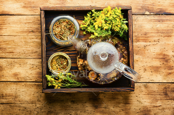 Hypericum in herbal medicine / Photodune, Misc