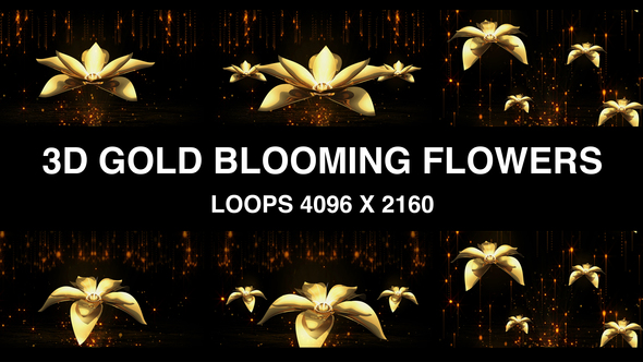 3D Gold Blooming Flower Vj Loops Background