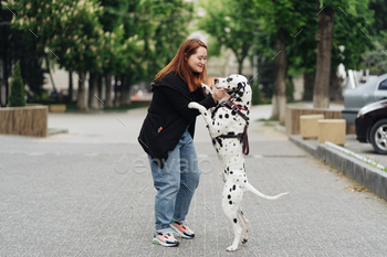 Woman discussing and training her dalmatian pet in the city / Photodune, Misc