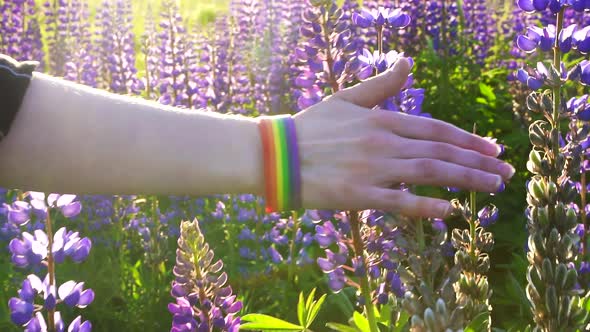 Hand with LGBT Bracelet at Sunset Touches Blooming Flowers Conceptclose Up