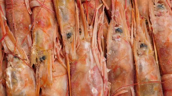 Frozen and Uncooked Red Langoustine Shrimps in Box