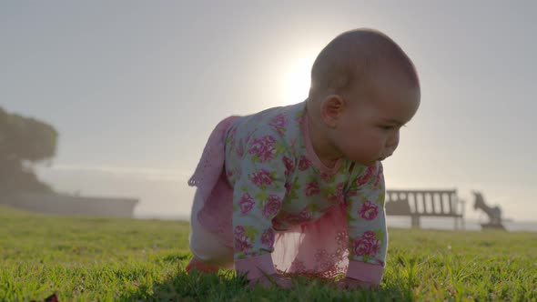 Happy Baby Crawls in the Grass