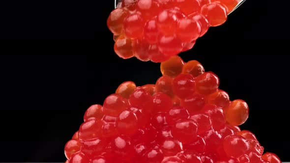 red chum salmon caviar in a metal spoon on a black background