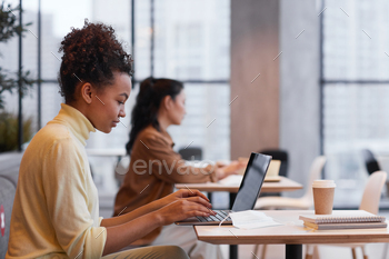 Young Woman Working in Cafe Side View / Photodune, Misc