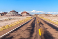 Petrified Forest National Park roadway - PhotoDune Item for Sale