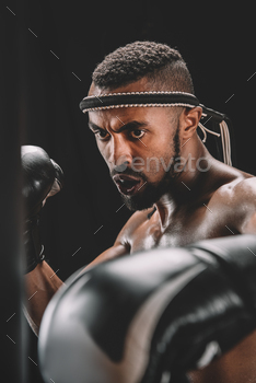 portrait of focused muay thai fighter training isolated on black / Photodune, Misc