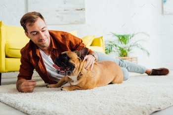 Man petting french bulldog on carpet in living room / Photodune, Misc