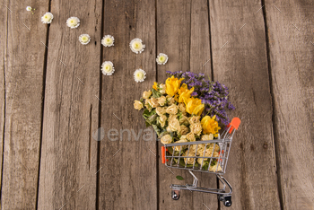 Spring floral composition with Beautiful various spring flowers in small shopping trolley on wooden / Photodune, Misc