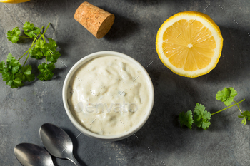 Homemade Creamy Tartar Sauce / Photodune, Misc