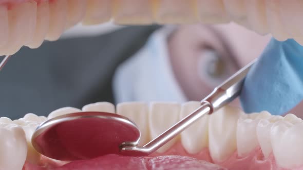 Dentist Inspects Patient's Teeth with Probe and Mirror