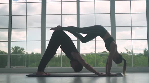 Wellness Man and Woman Do Yoga Together Perform Stands and Muscle Stretching Joint Training of a