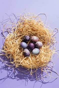 top view of purple easter eggs in straw nest in purple background / Photodune, Misc