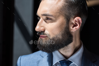 portrait of handsome bearded businessman in grey suit looking away / Photodune, Misc