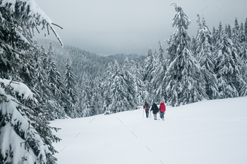 Climbers walking down the hill in Gorgany mountains / Photodune, Misc