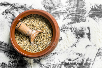 Wheat grains with a scoop in a bowl. / Photodune, Misc