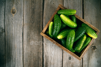 Cucumbers in a box on wooden background. / Photodune, Misc