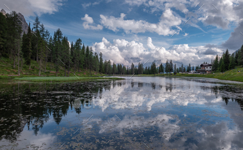 Summer by the lake and forest / Photodune, Misc