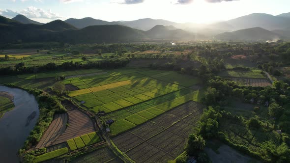 Aerial view of paddy field or rice terrace and the river in valley, Mae Hong Son, Thailand by drone