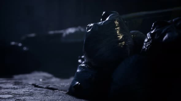 Garbage Bags at City Street an Night alt