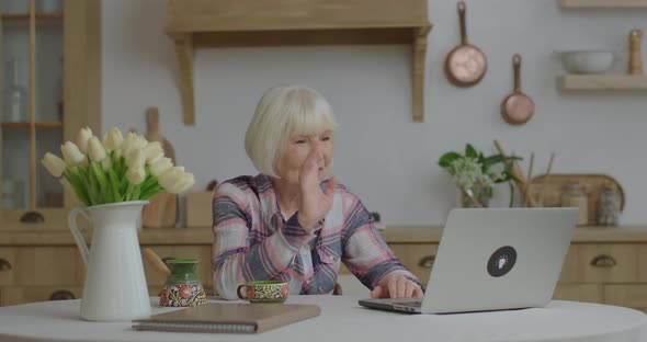 Senior Woman Talking Online By Laptop Sitting at Wooden Kitchen. Smiling Elderly Woman Having Online