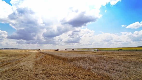 Agricultural scene. Combine harvesters harvesting ripe wheat on the field in summer. 