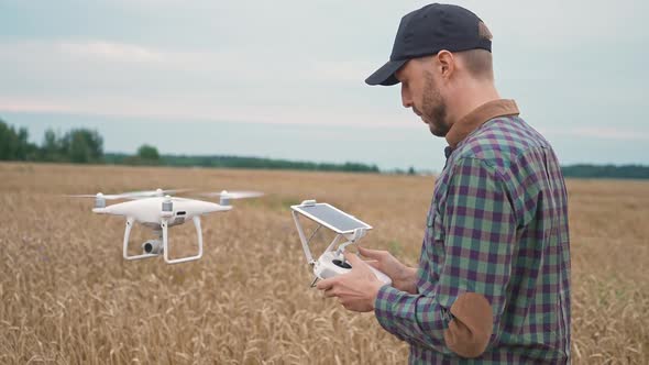 Agriculture Man Farmer Control the Quadcopter While Standing in the Field of Rye Ecologist Analyzes