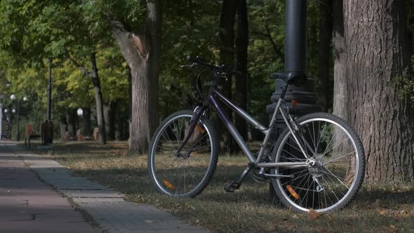 Person bike by the park path. 