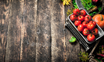 Organic food. fresh crop of vegetables. / Photodune, Misc