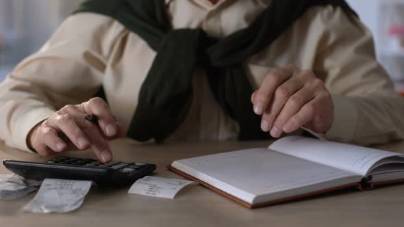 Pensioner Looking at Checks, Calculating Expenses for Utilities and Purchases