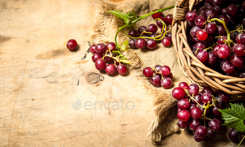 Red grapes in a basket. / Photodune, Misc