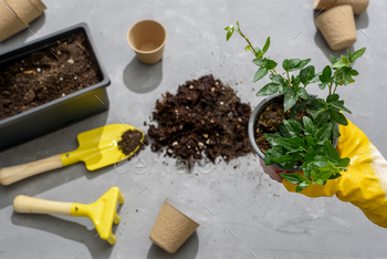 Home gardening set of tools / Photodune, Misc