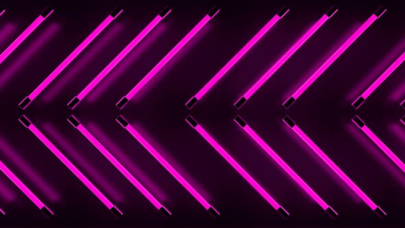 Pink Neon Lights Loop alt