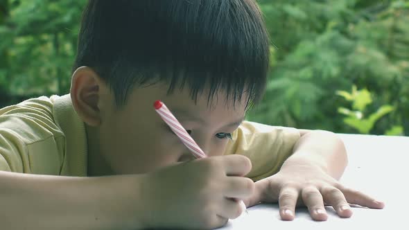 Young Boy Doing Homework in the Garden 