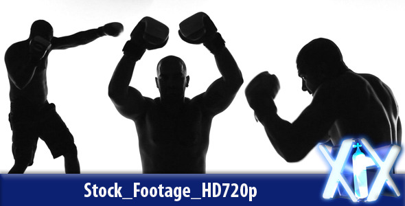 Boxing Silhouette