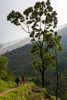 Beautiful Traveler Photo Woman Backpacker Mountains Landscape / Photodune, Misc