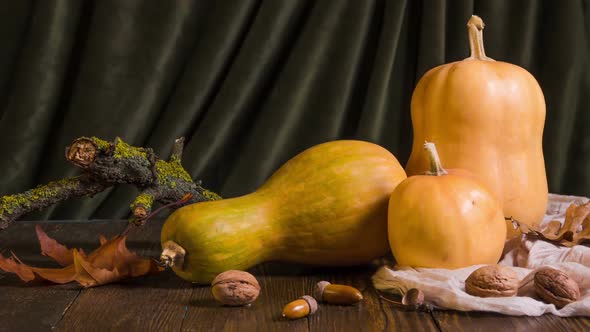 Halloween Still Life with Decorative Pumpkins, Walnuts, Acorns and Autumn Leaves