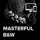 Masterful BlackandWhite Lightroom DM Presets Pack - GraphicRiver Item for Sale