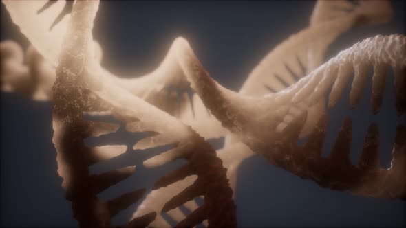 Loop Double Helical Structure of Dna Strand Closeup Animation