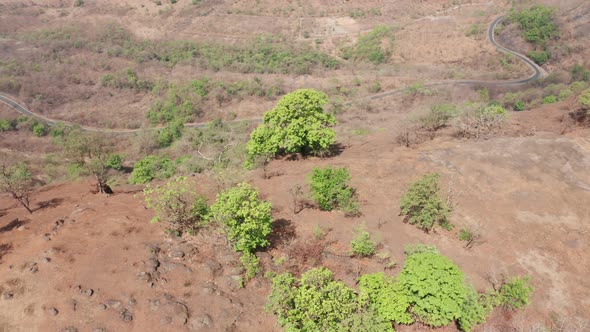 Birds eye view of a cliff with Trees