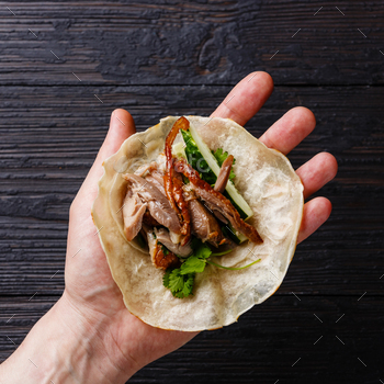 Peking Duck on pancake in male hand / Photodune, Misc